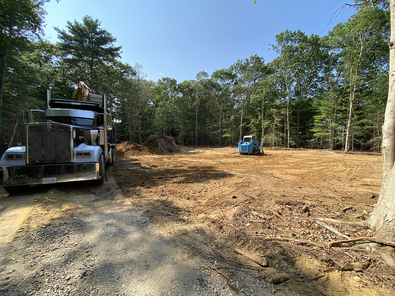 Clearing & New Home